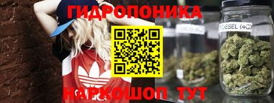 гашиш Тара